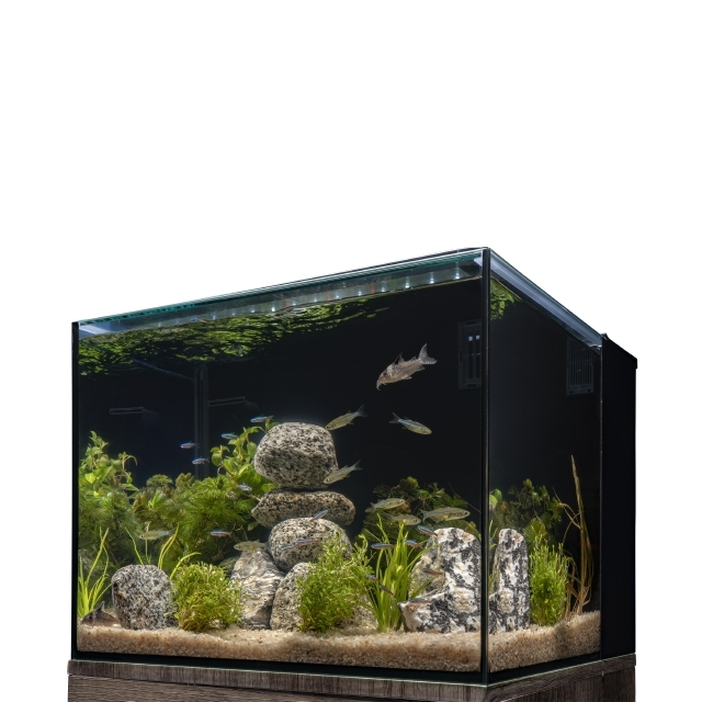 Marineland aquarium store kit